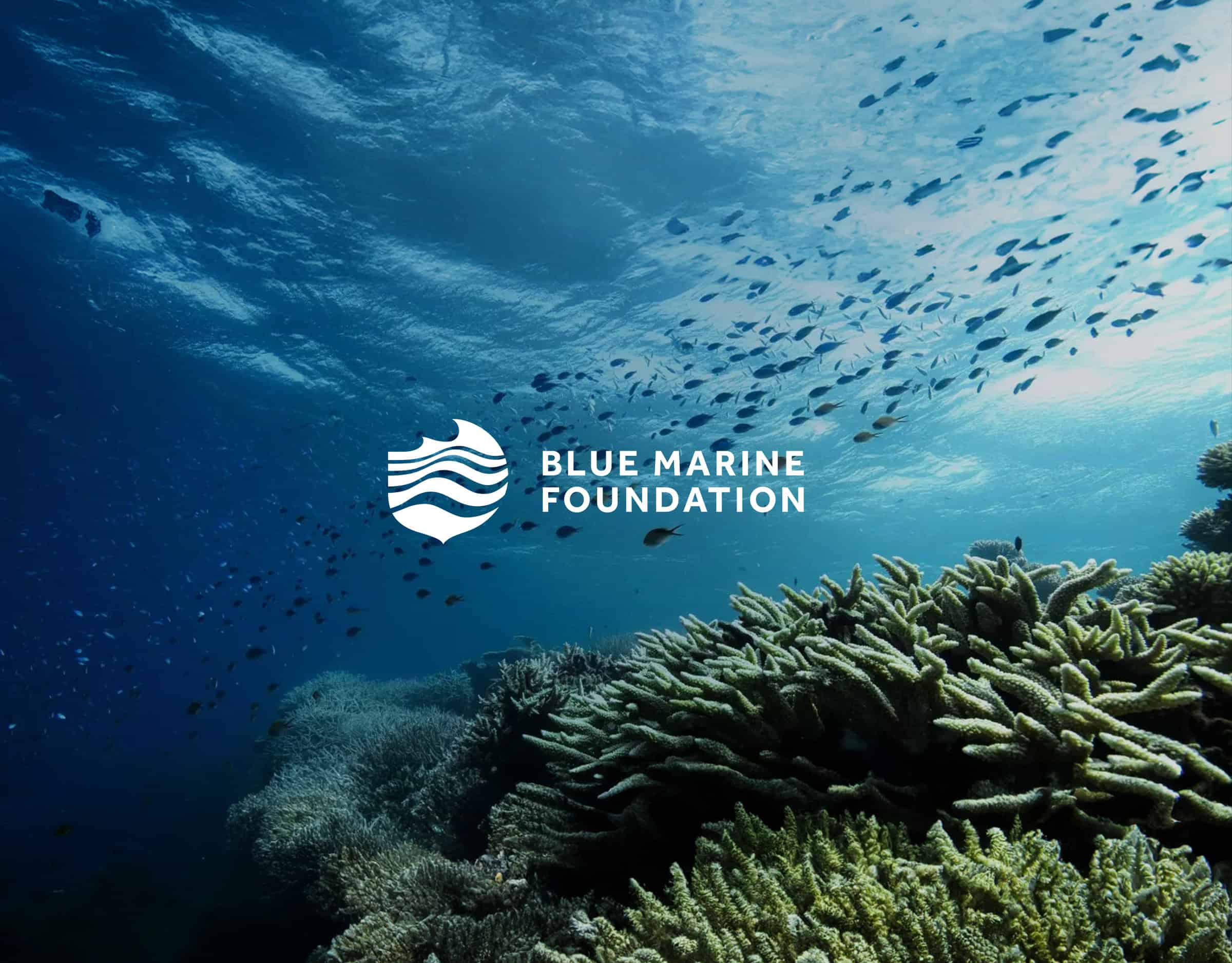 Benetti-HOY-Partners-Sustainability-02-Blue-Marine-Foundation